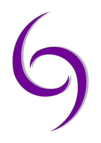 Synergy Physio logo