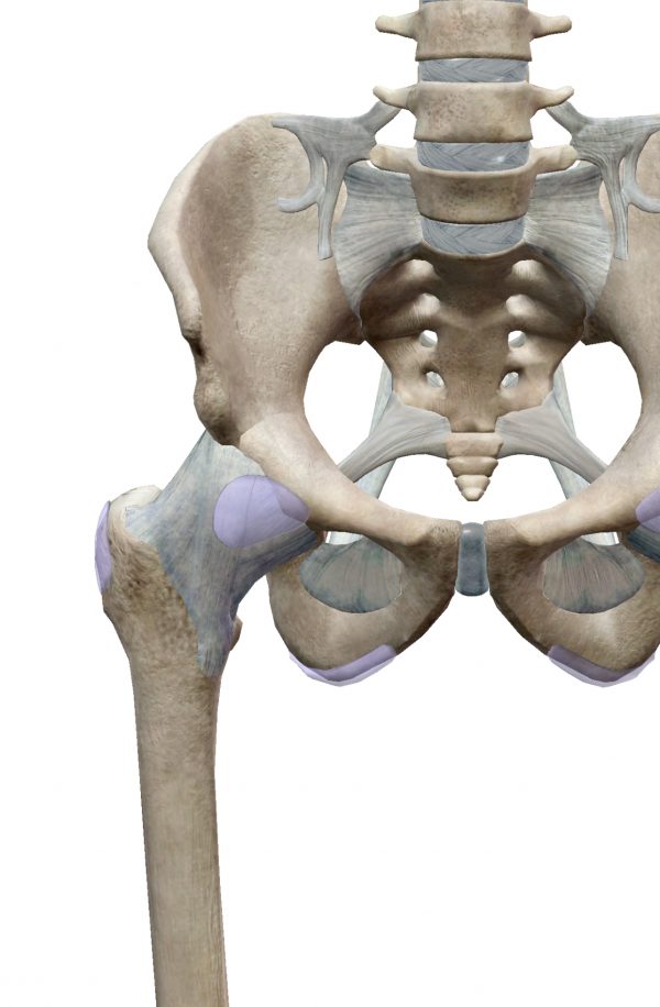 Osteitis Pubis